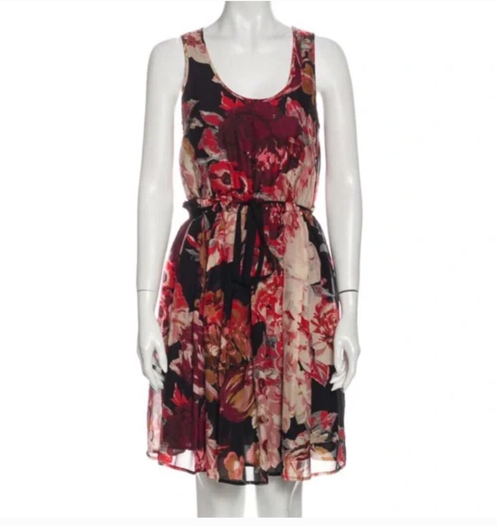 Elizabeth and James Silk Dress
